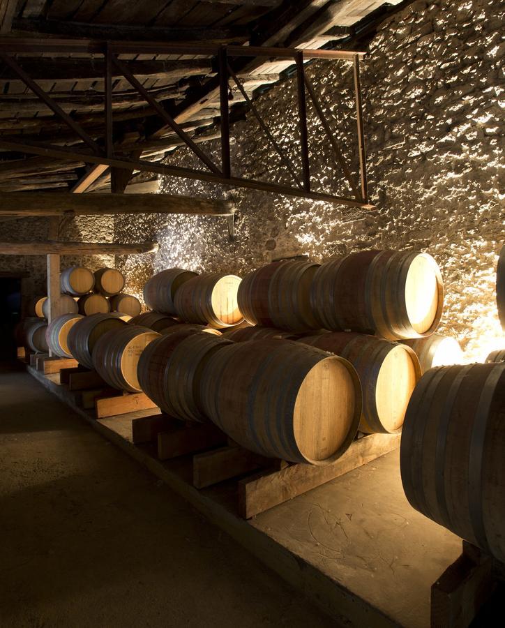 Maison Le Sepe - Vignoble Bio Et Maison D'Hotes Sainte-Radegonde  Buitenkant foto