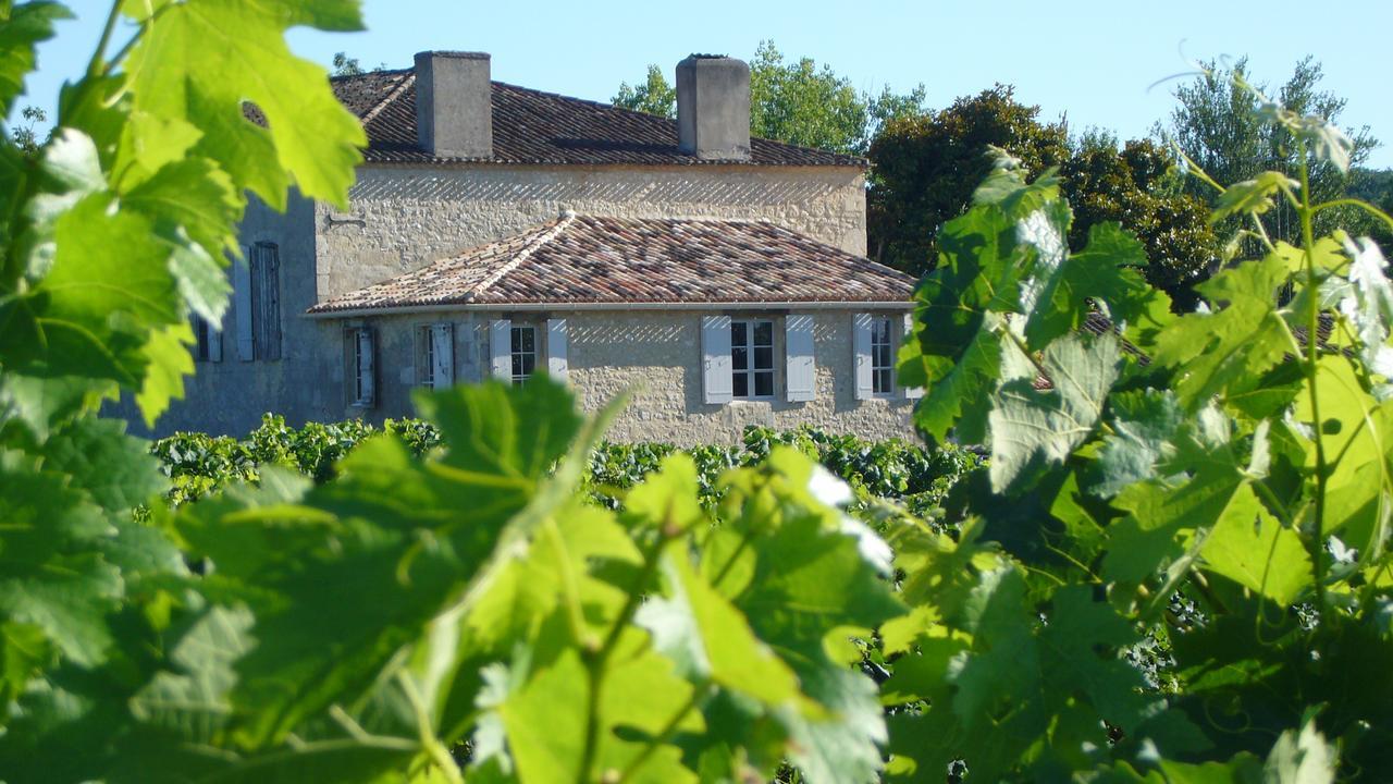 Maison Le Sepe - Vignoble Bio Et Maison D'Hotes Sainte-Radegonde  Buitenkant foto